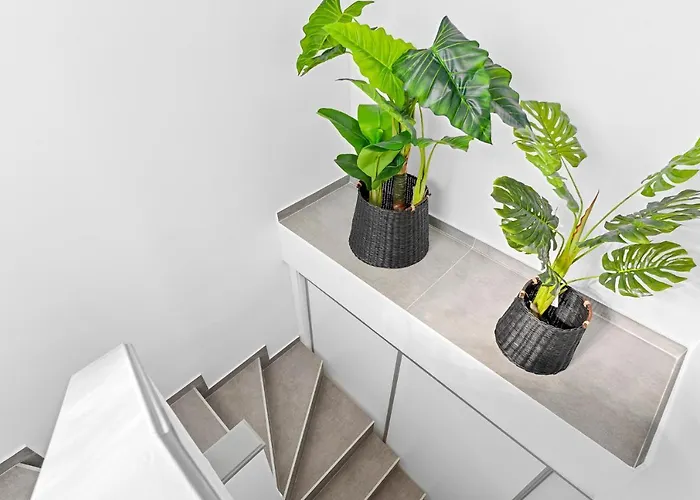 Apartment Medano4you Casa La Barca Sur El Medano (Tenerife)